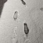 ヒメ日記 2026/01/24 00:50 投稿 ここね 湯房 湯島御殿