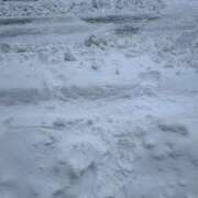 ヒメ日記 2026/01/25 09:52 投稿 ここね 湯房 湯島御殿