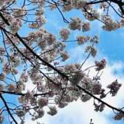 ヒメ日記 2026/03/17 10:49 投稿 高瀬りさ 五十路マダム 沼津店(カサブランカグループ)