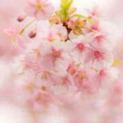 ヒメ日記 2026/03/21 21:13 投稿 高瀬りさ 五十路マダム 沼津店(カサブランカグループ)