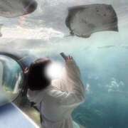 ヒメ日記 2026/02/07 11:39 投稿 椿みい ウルトラハピネス