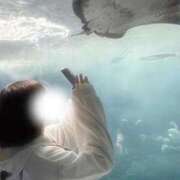 ヒメ日記 2026/03/19 14:39 投稿 椿みい ウルトラハピネス