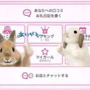 ヒメ日記 2026/03/31 18:09 投稿 椿みい ウルトラハピネス