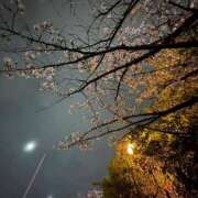 ヒメ日記 2026/04/08 09:27 投稿 はるか 舐めフェチの会