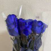 ヒメ日記 2026/04/16 14:10 投稿 はるか 舐めフェチの会