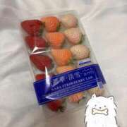 ヒメ日記 2026/02/17 00:19 投稿 いぶき 府中ダービー