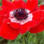 ヒメ日記 2026/03/07 17:07 投稿 えりか 人妻小旅行