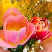 ヒメ日記 2026/03/23 17:25 投稿 えりか 人妻小旅行