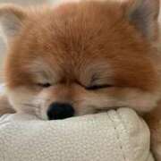 ヒメ日記 2026/04/23 18:45 投稿 えりか 人妻小旅行