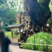 ヒメ日記 2026/09/27 16:25 投稿 えりか 人妻小旅行