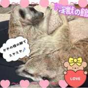 ヒメ日記 2026/02/12 04:00 投稿 かやの 奥鉄オクテツ東京店（デリヘル市場）