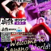 ヒメ日記 2026/02/14 18:02 投稿 かやの 奥鉄オクテツ東京店（デリヘル市場）