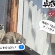 かやの 走らねばΣ(ﾟдﾟ;) ﾇ???ｫ!? 奥鉄オクテツ東京店（デリヘル市場）