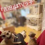 ヒメ日記 2026/03/04 18:01 投稿 かやの 奥鉄オクテツ東京店（デリヘル市場）