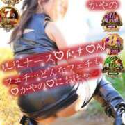 ヒメ日記 2026/04/17 19:12 投稿 かやの 奥鉄オクテツ東京店（デリヘル市場）