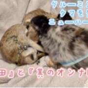 ヒメ日記 2026/05/08 08:42 投稿 かやの 奥鉄オクテツ東京店（デリヘル市場）