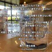 ヒメ日記 2026/05/11 07:35 投稿 かやの 奥鉄オクテツ東京店（デリヘル市場）