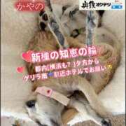 ヒメ日記 2026/05/13 17:25 投稿 かやの 奥鉄オクテツ東京店（デリヘル市場）
