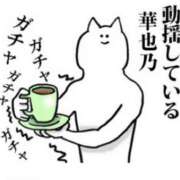 ヒメ日記 2026/05/16 12:11 投稿 かやの 奥鉄オクテツ東京店（デリヘル市場）