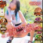 ヒメ日記 2026/06/07 08:38 投稿 かやの 奥鉄オクテツ東京店（デリヘル市場）