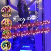 ヒメ日記 2026/08/12 14:05 投稿 かやの 奥鉄オクテツ東京店（デリヘル市場）