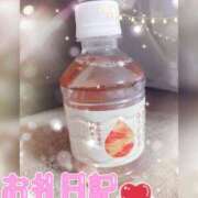 しおん お礼日記 Hip's千葉駅前店