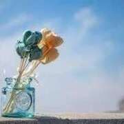 ヒメ日記 2026/01/21 15:25 投稿 めい 福岡飯塚田川ちゃんこ