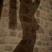 ヒメ日記 2026/03/06 12:00 投稿 あず 川越ぽちゃまに