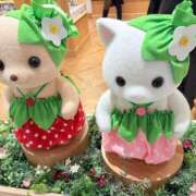 ヒメ日記 2026/04/12 16:54 投稿 ひかり 舐めフェチの会