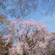ヒメ日記 2026/05/13 21:16 投稿 雪乃【ゆきの】 丸妻 西船橋店