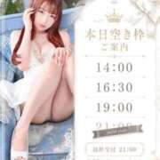 まみ 🤍今日もまみと🤍 Versailles