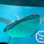 ヒメ日記 2026/03/19 12:02 投稿 しずな【M気質なキス好き奥様】 One More 奥様 新宿店