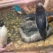 ヒメ日記 2026/03/23 11:53 投稿 しずな【M気質なキス好き奥様】 One More 奥様 新宿店