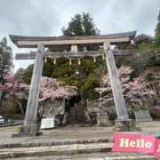 ヒメ日記 2026/04/28 11:52 投稿 しずな【M気質なキス好き奥様】 One More 奥様 新宿店