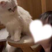 ヒメ日記 2026/02/28 07:11 投稿 ニコリン ピンクコレクション大阪