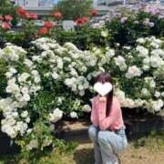 ニコリン 離さないでね♡ ピンクコレクション大阪