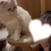 ヒメ日記 2026/02/28 07:09 投稿 ニコリン ピンクコレクション大阪キタ店