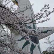 ヒメ日記 2026/04/01 07:19 投稿 ニコリン ピンクコレクション大阪キタ店