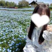 ヒメ日記 2026/04/26 06:02 投稿 ニコリン ピンクコレクション尼崎店