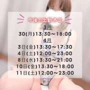 ヒメ日記 2026/03/29 17:00 投稿 もえ ヴィヴィッド・クルーマダム・セカンドヴァージン十三店