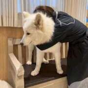 ヒメ日記 2026/02/12 12:48 投稿 りん 小岩ときめき女学園