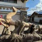 ヒメ日記 2026/03/29 12:38 投稿 りん 小岩ときめき女学園