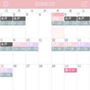 ヒメ日記 2026/03/05 17:50 投稿 むめい ドリーム水戸