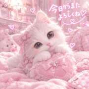 むめい ₊˚⊹ᡣ𐭩 ドリーム水戸