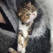 ヒメ日記 2026/03/09 23:44 投稿 ふうか いざ候 別館