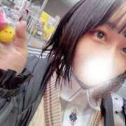 ヒメ日記 2026/02/09 01:15 投稿 コトリ ソープランド マックス