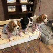 ヒメ日記 2026/02/02 14:00 投稿 ありさ 黒ストッキングとちくび新宿店