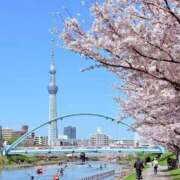 ヒメ日記 2026/04/03 22:36 投稿 加藤（かとう） 丸妻 錦糸町店