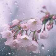 ヒメ日記 2026/03/26 08:12 投稿 ひなの 美熟女倶楽部Hip's 春日部店