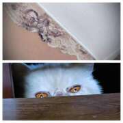 ヒメ日記 2026/04/09 13:32 投稿 ひなの 美熟女倶楽部Hip's 春日部店